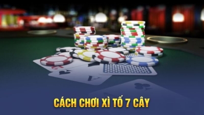 Cách Chơi Xì Tố 7 Cây Chuẩn Như Chuyên Gia Tại Nhà Cái