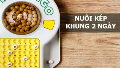 Lô kép nuôi khung 2 ngày - Sự kiên nhẫn sẽ mang lại quả ngọt