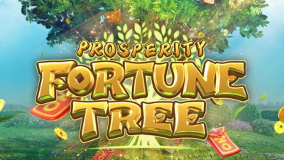 Fortune Tree - Khoảnh khắc chiến thắng đỉnh cao mãn nhãn